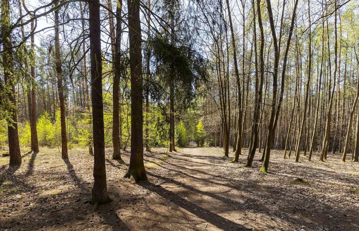 Laskara Garden Apartment By Prague Forest Nove Jirny Bagian luar foto